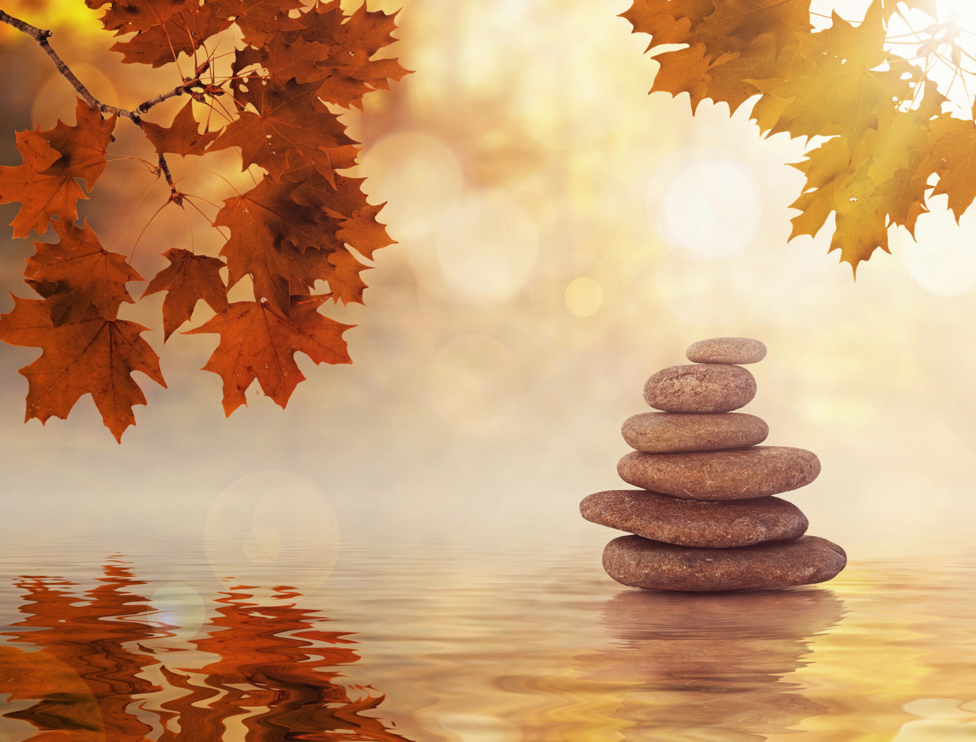 Meditation on honoring Demeter in September.