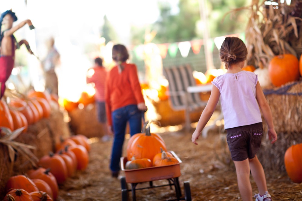 Autumn traditions for families.