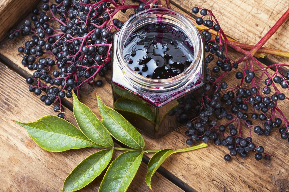 elderberry for cold and flu