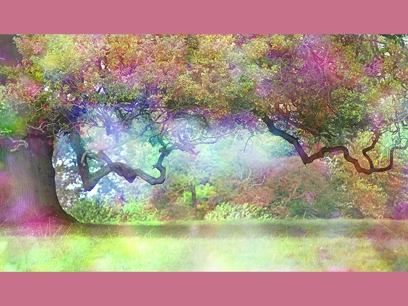 The Celtic Otherworld