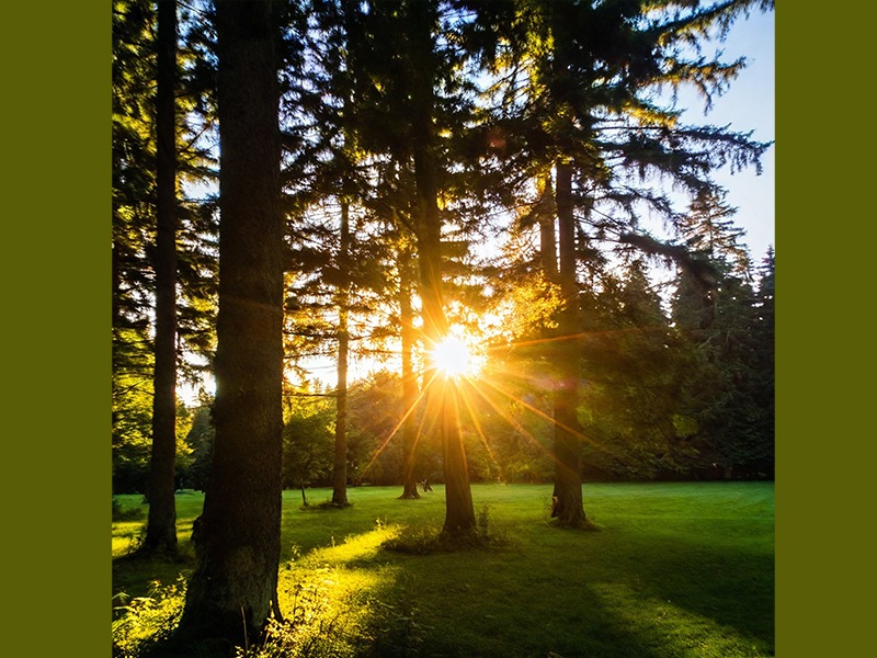 The summer solstice sunrise