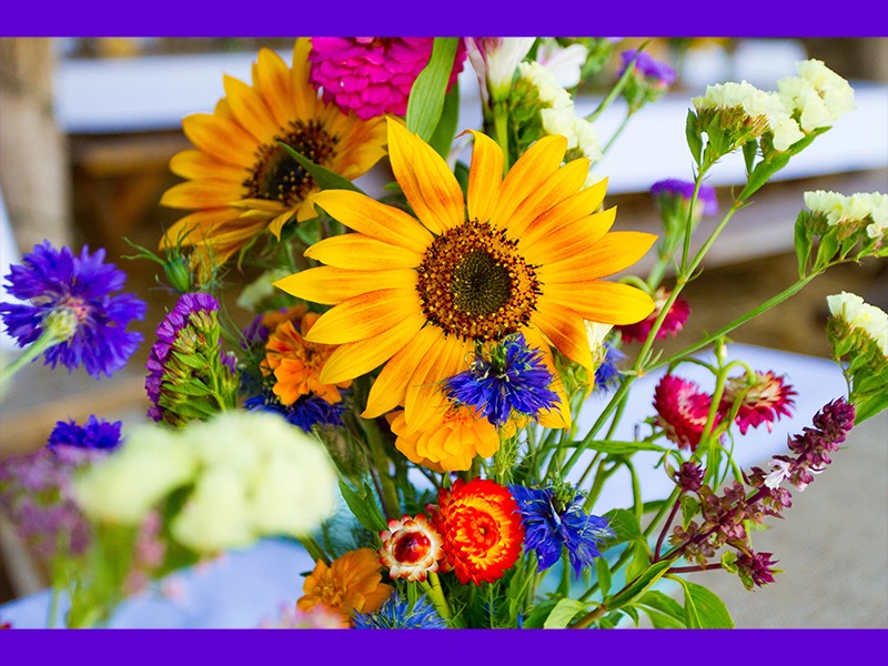 Sunny summer decor for a kitchen