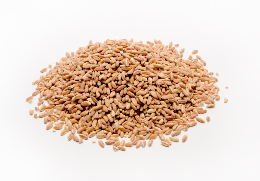 Ancient Grains