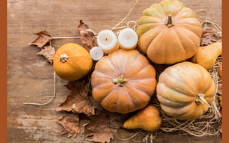 Fall seasonal living