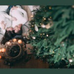 Understanding your true love language with your Venus sign in marriage.