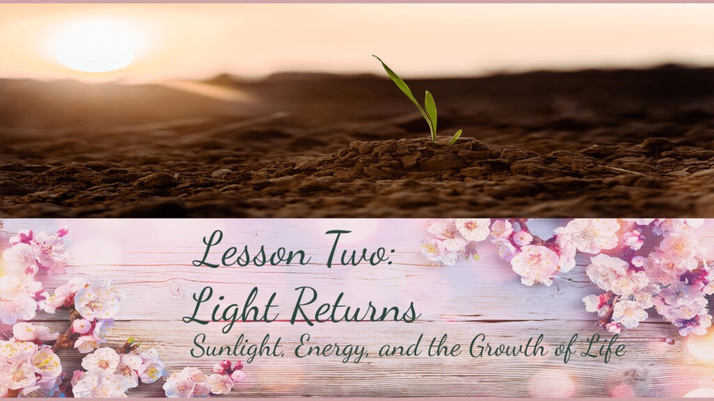Lesson Two: Sunlight Energy