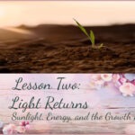 Lesson Two: Sunlight Energy