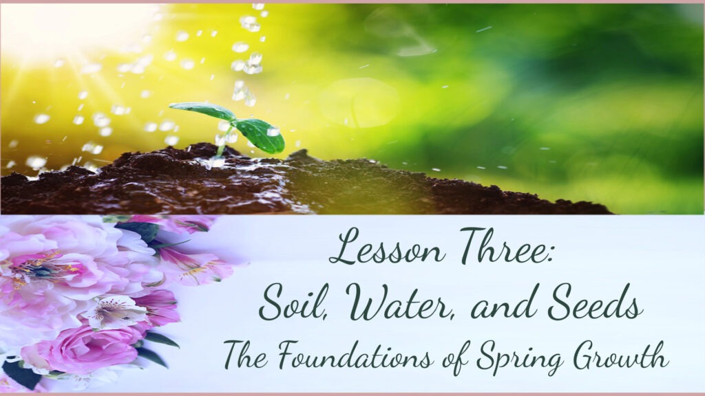 Lesson Three: Spring Curriculum: soil, seeds, water