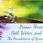 Lesson Three: Spring Curriculum: soil, seeds, water
